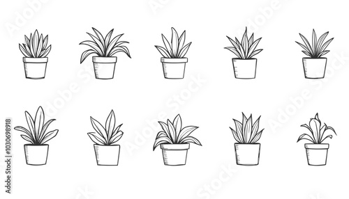Hand-drawn potted plants collection vector illustration