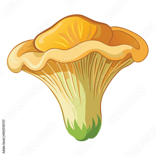 Watercolor of Oyster mushroom isolated on white background.