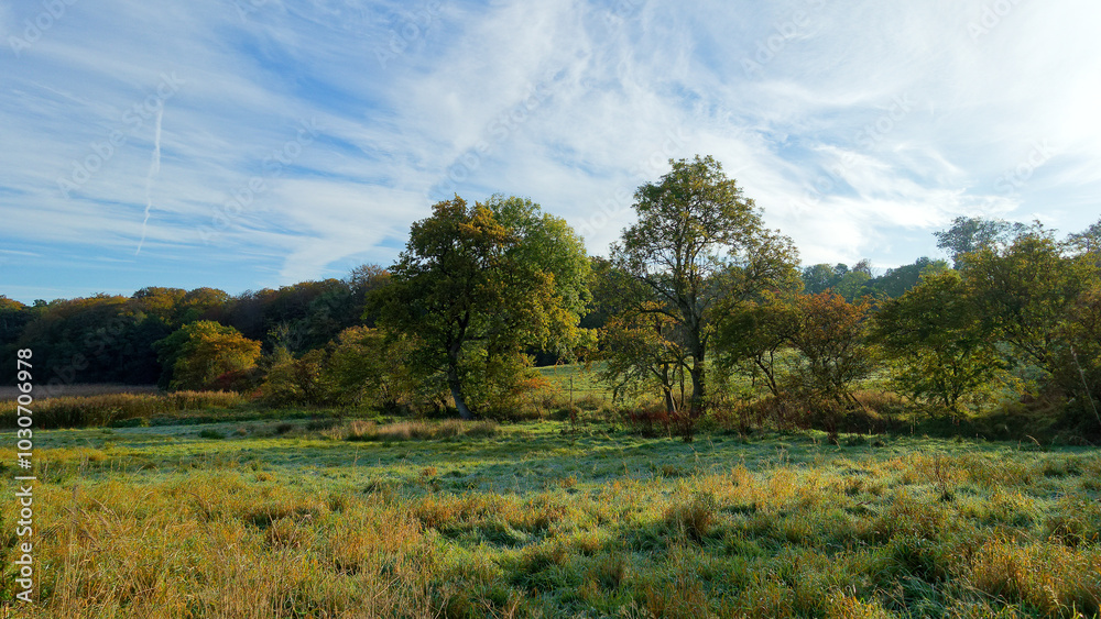 Fototapeta premium Herbstmorgen