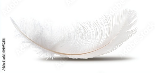 A delicate white feather with soft barbs and a slight curl, isolated on a white surface