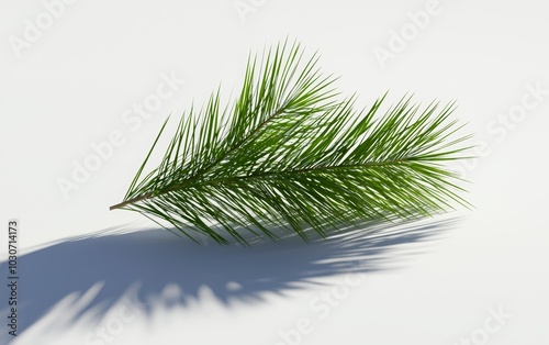 A detailed pine branch with clusters of green needles, isolated on a white surface photo