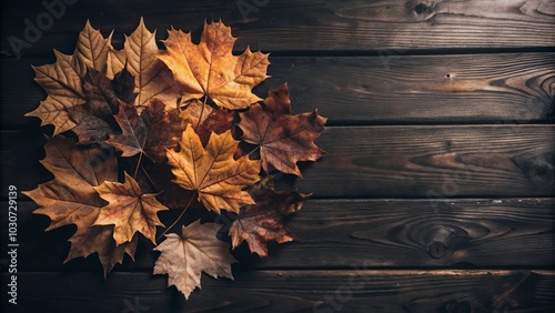 Vibrant autumn leaves in shades of orange and yellow arranged artistically around a white wooden background. photo