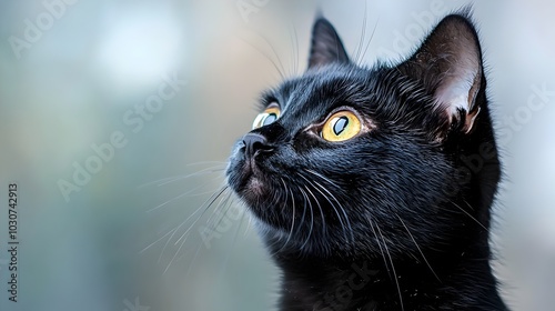 Captivating close up of a black cat s piercing yellow eyes with the moon s ethereal reflection shimmering in the background creating a moody and atmospheric scene