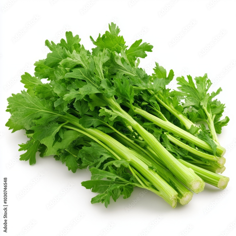 Fresh green celery bunch, commonly used in cooking and salads. Fresh green celery bunch, commonly used in cooking and salads.