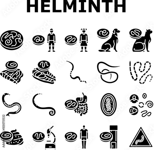 helminth worm parasite roundworm icons set vector. dog tapeworm, heart helminth ascaris, internal cat, nematode pet, pinworm giardia helminth worm parasite roundworm glyph pictogram Illustrations