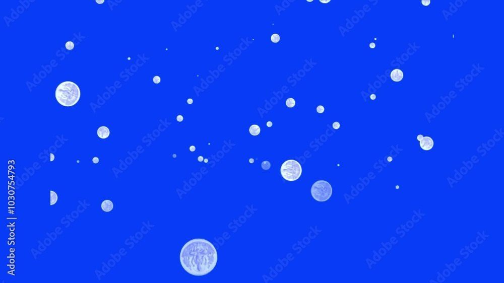 Silver Coins Falling Animation Blue Screen Loop Silver Coins Falling