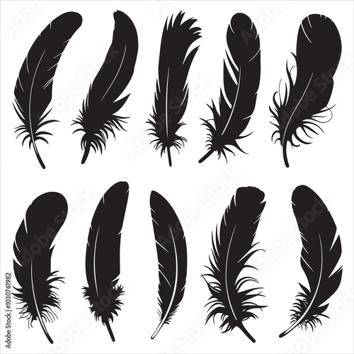 Collection of Black Feather Silhouettes Isolated on White