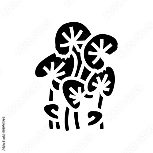 gotu kola ayurvedic herb glyph icon vector. gotu kola ayurvedic herb sign. isolated symbol illustration