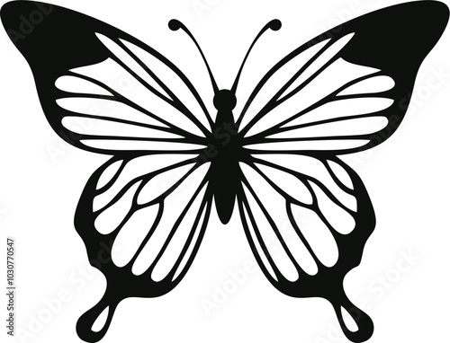butterfly with vector simple design
