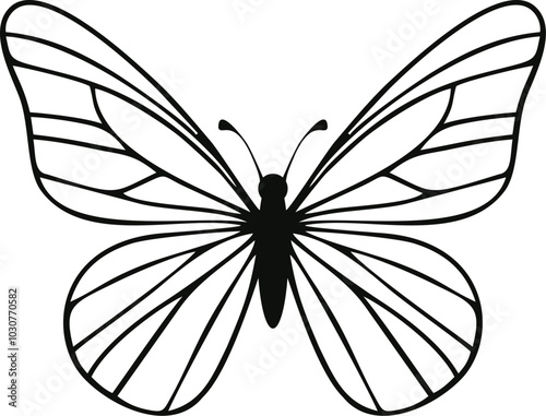 black and white butterfly