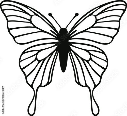 black and white butterfly