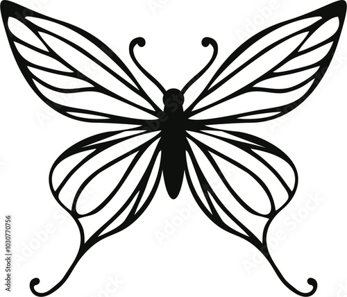black and white butterfly