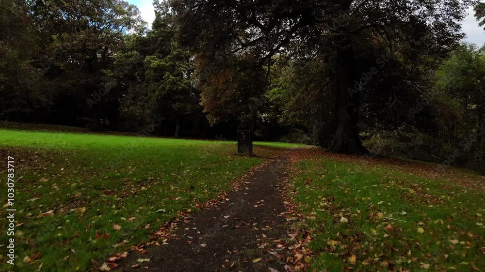 Pathway through Autumn park pathway wide drone