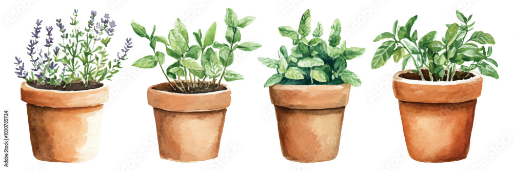 Obraz premium Set watercolor condiment herbs in terracotta pots design resources elements isolated on transparent background