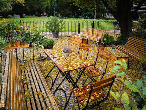 A cozy autumn scene in Leiden, Netherlands, featuring a cafe’s outdoor seating with wooden tables and chairs sprinkled with fallen leaves, near a serene waterway.