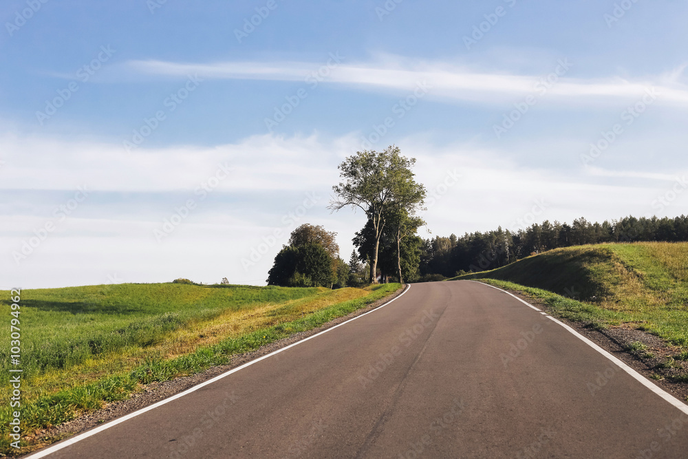 Asphalt road through field, meadow and forest. Beautiful summer landscape with trees along the roadside. Concept of a journey into the unknown. Scenic countryside background. Sunny day car trip. Asphalt road through field, meadow and forest. Beautiful summer landscape with trees along the roadside. Concept of a journey into the unknown. Scenic countryside background. Sunny day car trip.