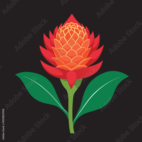 torch ginger flower Vector 3D Image Download.