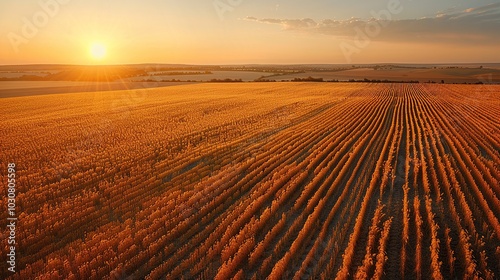 Once fertile fields now barren, depicting global warming's impact. Aerial view of climate change's effects. Environmental crisis, pollution, and risk, no people present. High resolution Illustration,