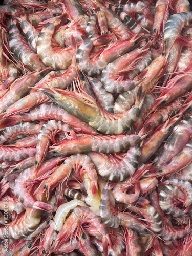 Raw cat tiger shrimp.this photo was taken from Chittagong,Bangladesh.