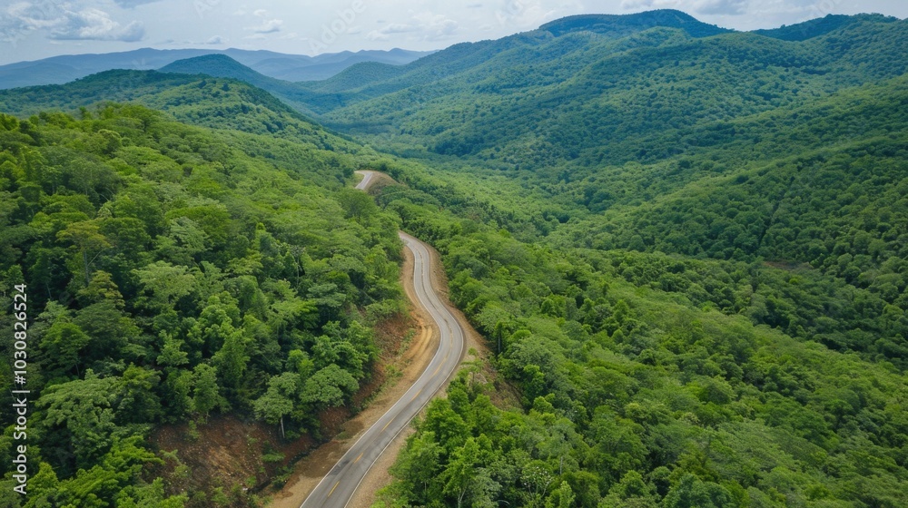 Fototapeta premium Mountainous Winding Road Aerial View