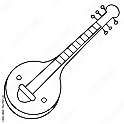 Veena Traditional Indian String Instrument