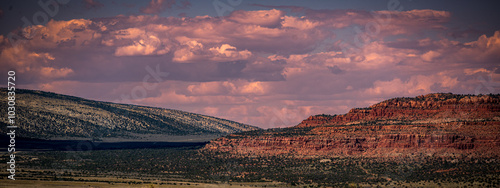 Overlooking the Grand Canyon