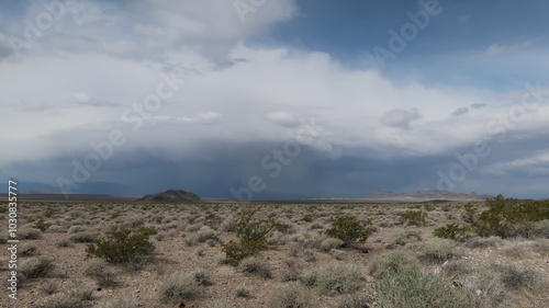 Sunny and Cloudy Day Time Images of the Nevada Desert Featuring Native Plants and Open Views: Landscapes, Travel, Tourism, Nature