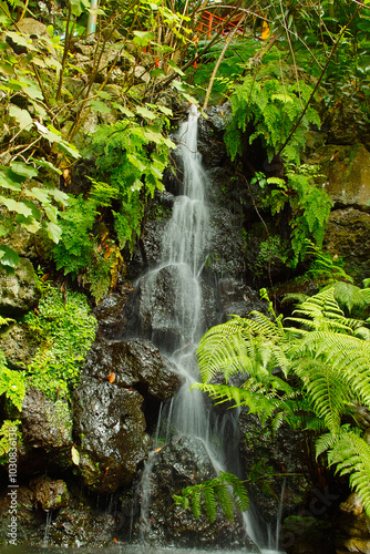 Monte Palace Tropical Garden