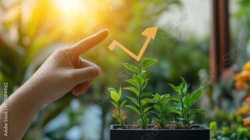 Wallpaper Mural Business development to success and growing growth concept, Businessman pointing arrow graph corporate future growth plan Torontodigital.ca