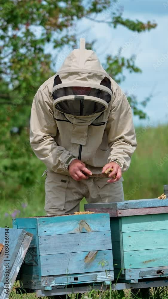 Apiarist in protective outfit using the metal tool to gather the extra wax from frames. Beekeeper taking care of his farm. Nature green backdrop. Vertical video Apiarist in protective outfit using the metal tool to gather the extra wax from frames. Beekeeper taking care of his farm. Nature green backdrop. Vertical video