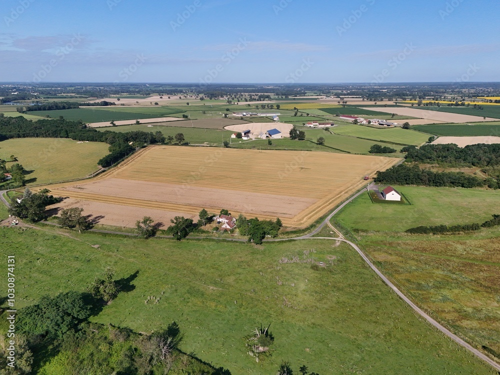 Fototapeta premium Aerial view of fields and meadows seen from the sky with hedges and trees