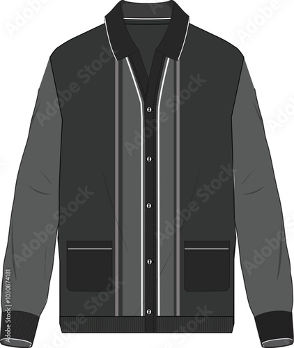 Button stripe polo sweater