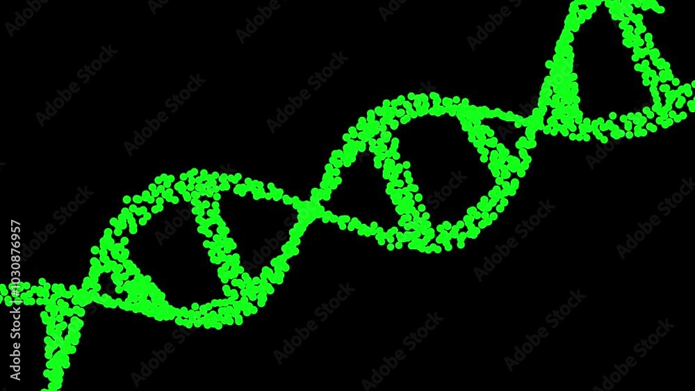 The construction of particles in the rotating DNA animation. motion medical background with green Seamless Loop on white background The construction of particles in the rotating DNA animation. motion medical background with green Seamless Loop on white background