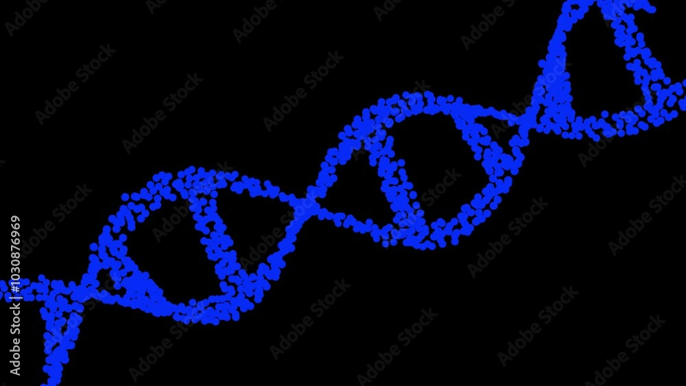 The construction of particles in the rotating DNA animation. motion medical background with blue Seamless Loop on white background The construction of particles in the rotating DNA animation. motion medical background with blue Seamless Loop on white background