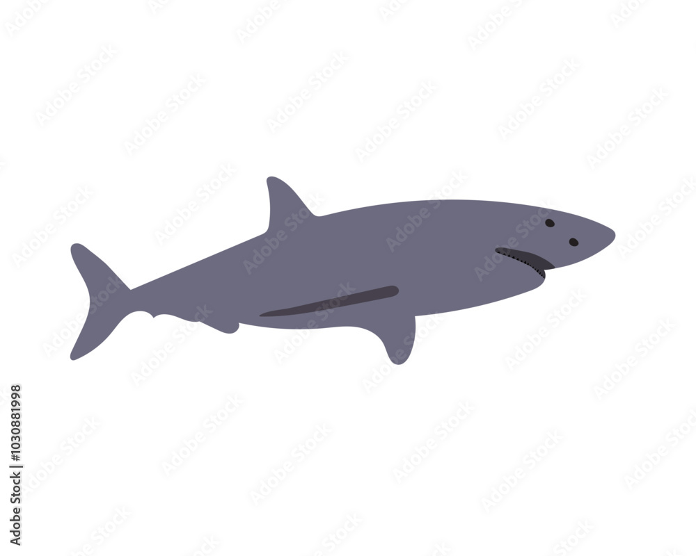 Vector Art, Icons, and Graphics Design for Ocean Animal Shark Vector Art, Icons, and Graphics Design for Ocean Animal Shark