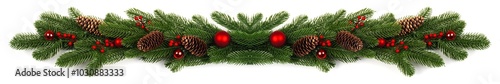 christmas fir banner on white