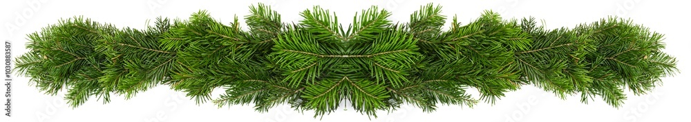 christmas fir banner on white christmas fir banner on white
