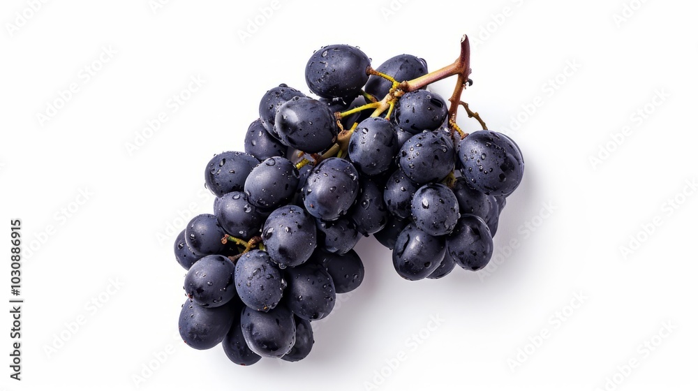 Captivating Close-up: Exquisite Black Grapes in All Their Glory, Isolated on a White Background (16: Captivating Close-up: Exquisite Black Grapes in All Their Glory, Isolated on a White Background (16: