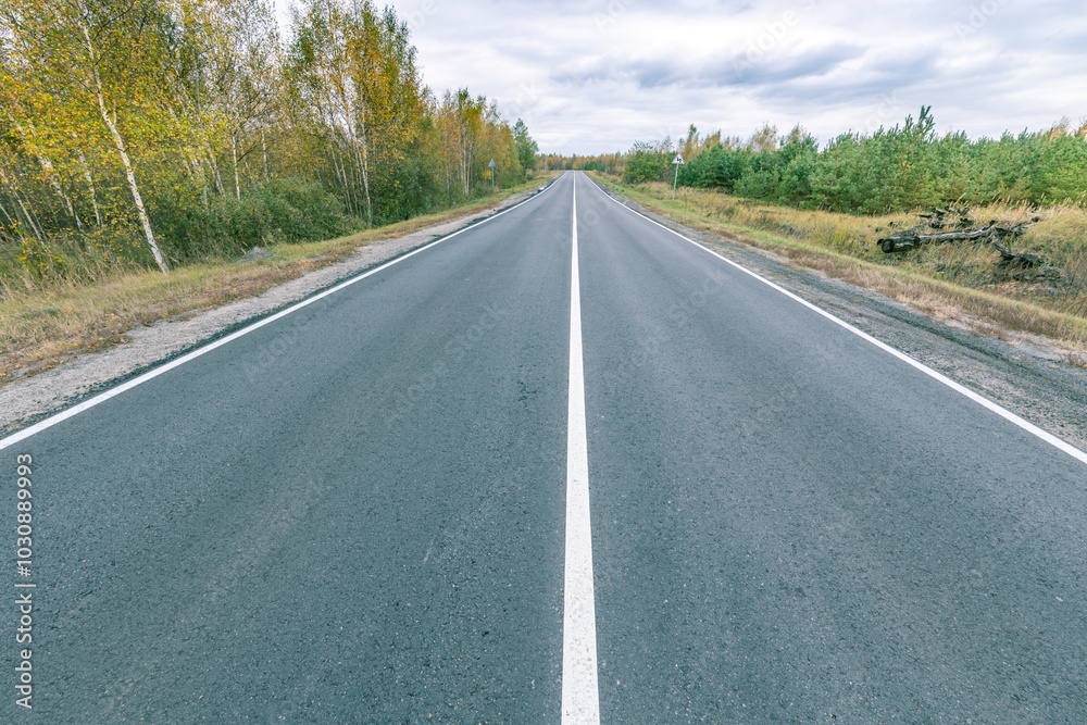 A long, empty road with a few trees in the background A long, empty road with a few trees in the background
