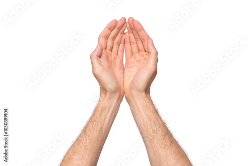 Top view of male hands clasped together in a begging or holding gesture, palms slightly cupped. The hands are isolated on a transparent background, PNG file, conveying a sense of request, offering, or photo