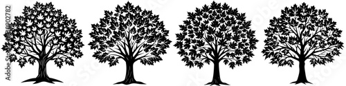 line art vector illustration collection of maple tree with wood cutting style. isolate on a white background. SVG and PNG
