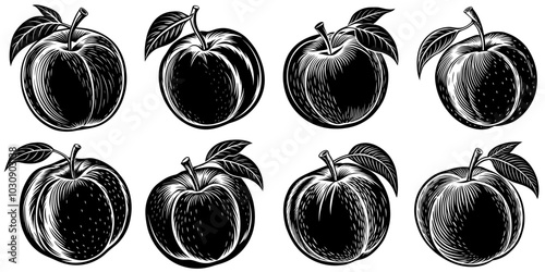 line art vector illustration collection of peach with wood cutting style. isolate on a white background. SVG and PNG
