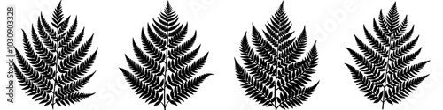 line art vector illustration collection of fern with wood cutting style. isolate on a white background. SVG and PNG
