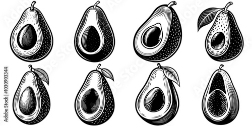 line art vector illustration collection of avocado with wood cutting style. isolate on a white background. SVG and PNG
