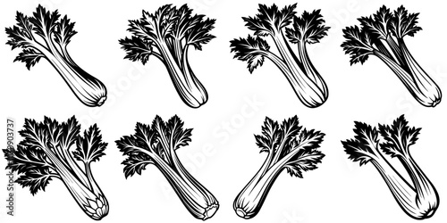 line art vector illustration collection of celery with wood cutting style. isolate on a white background. SVG and PNG
