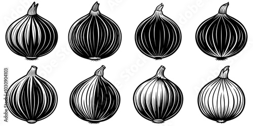 line art vector illustration collection of onion with wood cutting style. isolate on a white background. SVG and PNG
