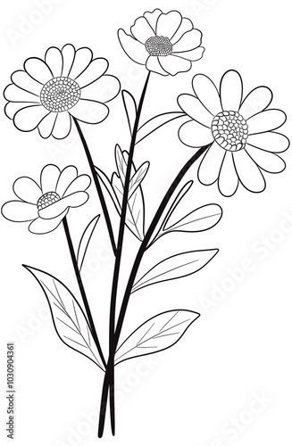 illustration of flowers