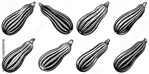 line art vector illustration collection of zucchini with wood cutting style. isolate on a white background. SVG and PNG
