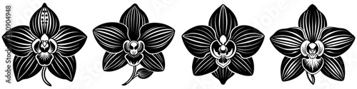 line art vector illustration collection of orchid with wood cutting style. isolate on a white background. SVG and PNG
