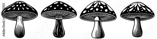 line art vector illustration collection of wild mushroom with wood cutting style. isolate on a white background. SVG and PNG
